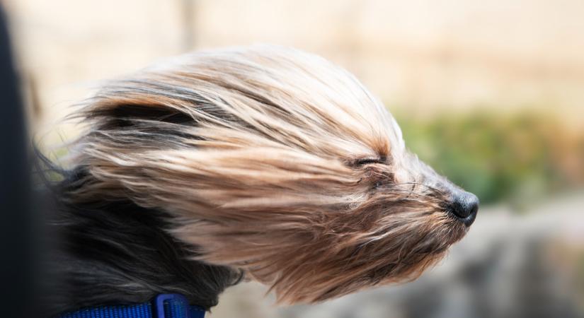 Kemény időjárás tarolja le az országot: ez vár a magyarokra hétvégén