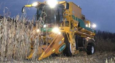 Oxbo 9840 – kettős aratás kísérleti parcellákon