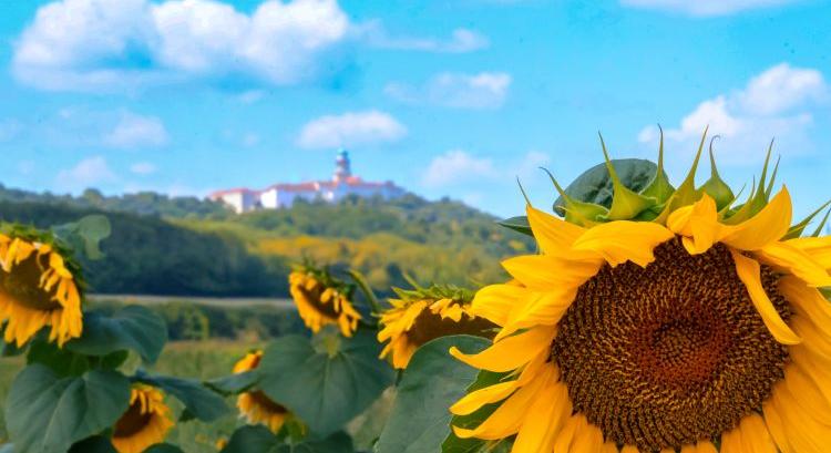 Kereszttűzben a magyar agrárium