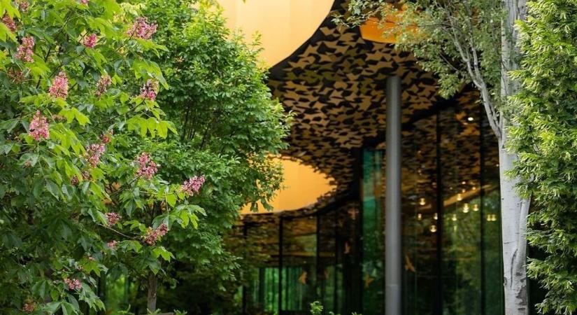 A Városliget látogatása hozzájárul a mentális jóléthez (videó, galéria)