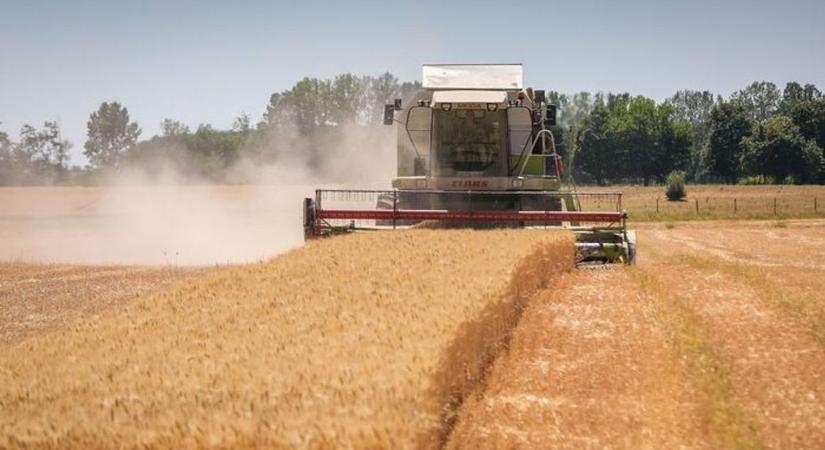 115 dolláros olaj: veszélyben az idei profit?