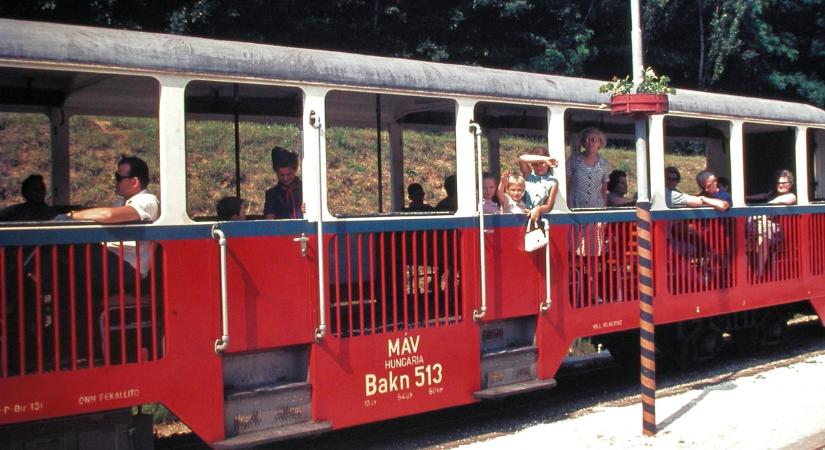 Zakatol a boldogság: világrekorder a budai hegyek között