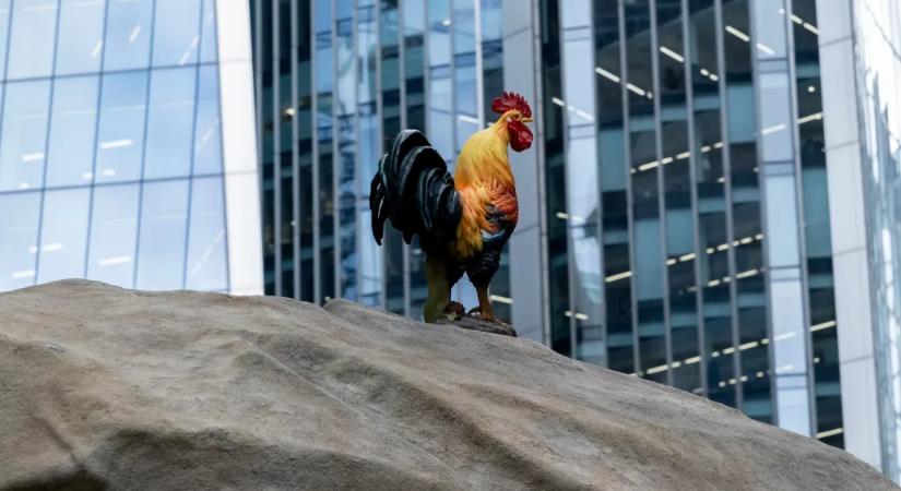 A haverjaikat jelölték a legfontosabb brit művészeti díjra a zsűritagok a Guardian szerint