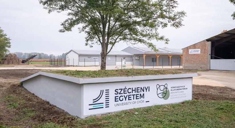 Kutatásból gyakorlat: így diktálja a tempót az óvári kar az agrárdigitalizációban