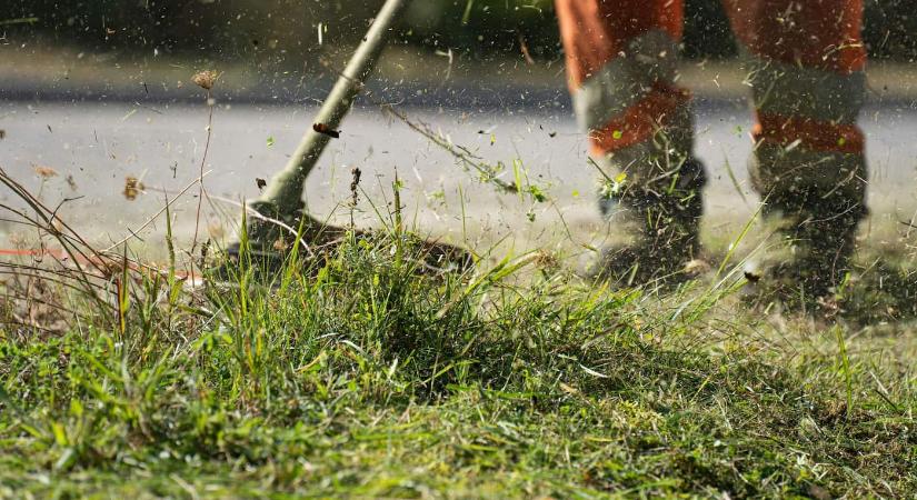 Eltűnik a magyar kertekből a hagyományos pázsit, a magyarok már erre váltanak