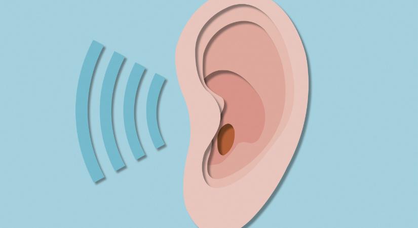 Új génterápia adta vissza a hallását a veleszületett halláskárosodással élőknek