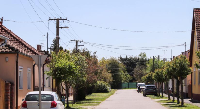 Az elektromos vezetékek környékén ritkítják a növényzetet Nagyatádon