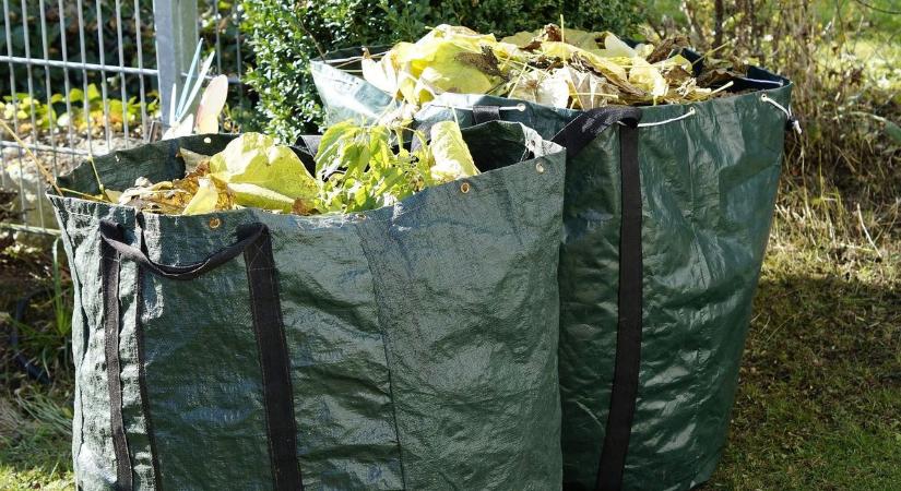 A kukásautónak adnád a kerti hulladékod? Sokkal jobb ötletünk van! - helyi kertész avat be a tutiba