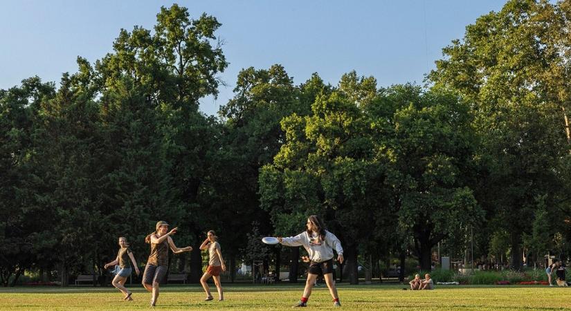 Egy nap, amikor sztárpszichológusok és tabudöntő témák várják az embereket a Városligetben