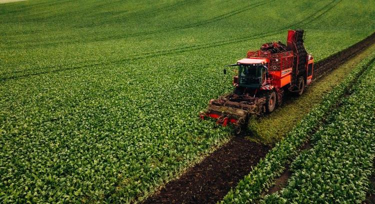 Új agrártehetségek dönthetik el a jövőt