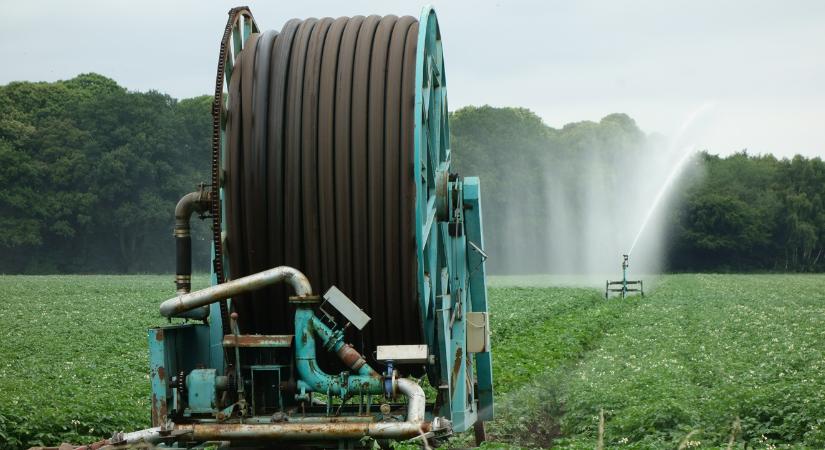 Mesés sztori a törökökről és a magyar burgonyáról
