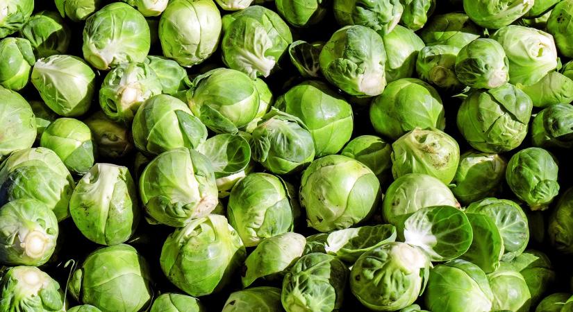 Az energiahatékonyság vált a zöldségtárolás kulcskérdésévé Ukrajnában