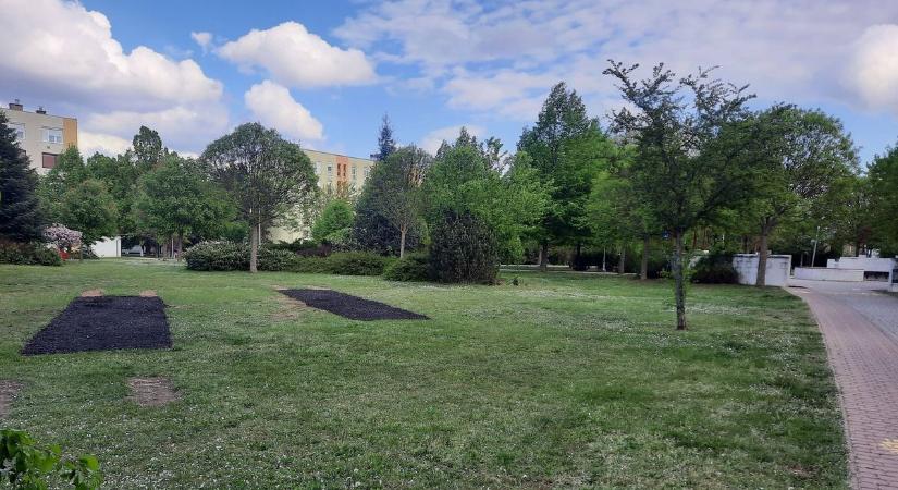 Rejtélyes sötét foltok lepték el az Európa parkot Marcaliban