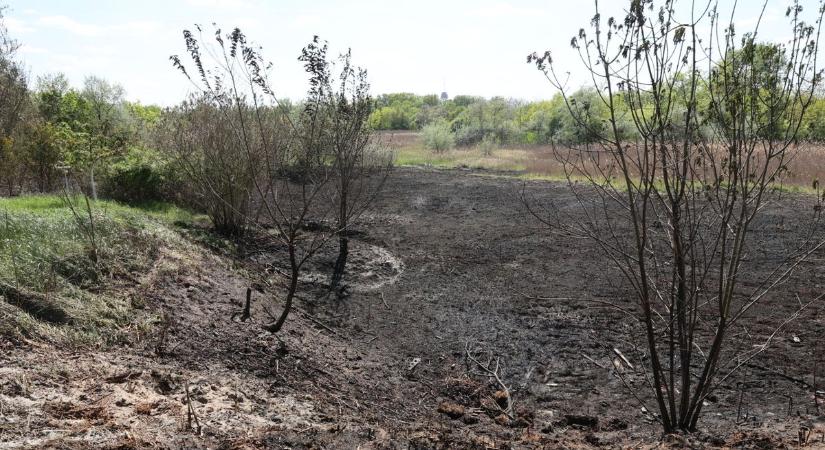 Képeken mutatjuk, hogy mekkora pusztítást hagyott maga után a Baktói tűz