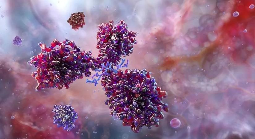 Durva különbségre derült fény: nem úgy működik a testünk, ahogy hittük