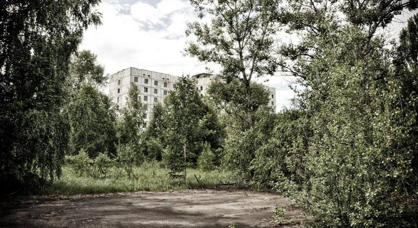 40 évvel Csernobil után: miért tért vissza a vadvilág a zárt zónába?