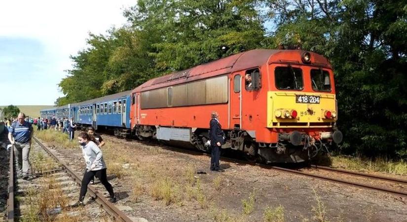 Újabb vonatok közlekednek a Bakonyban