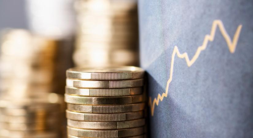 A profit az első a hozzánk érkezőknél - Külföldi befektetések jellemzői a V4-ekben és Ausztriában