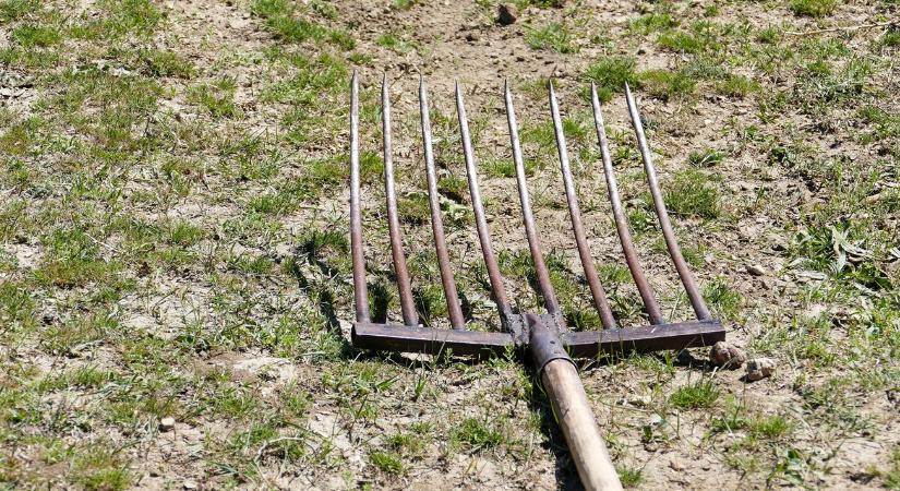 Botrány: vasvillára tűzött óriáshal fotója borzolja a kedélyeket