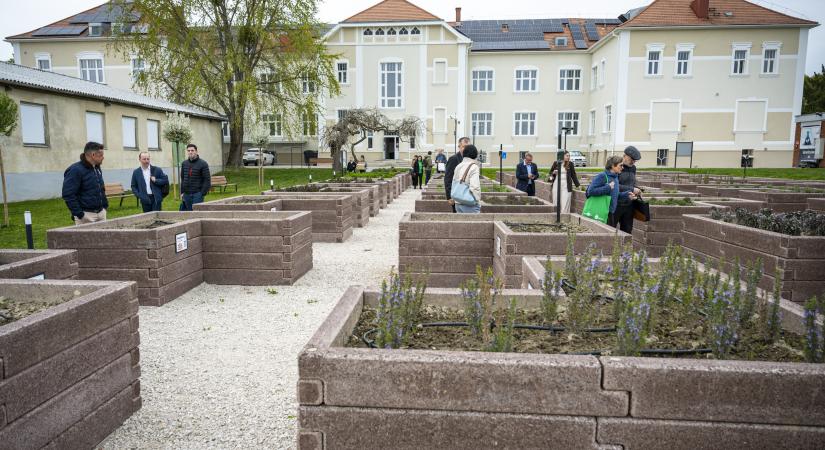 Nemzetközi projekttel erősíti a zöld és digitális átmenetet a Széchenyi István Egyetem Albert Kázmér Mosonmagyaróvári Kara