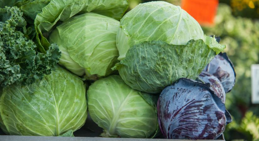 Csapdába sétálnak az ukrán agrárvállalkozók? Sok pénz bukhatnak el ezen