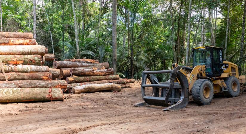 EUDR: Ha nem lesz egyszerűsítés, belefulladunk a bürokráciába