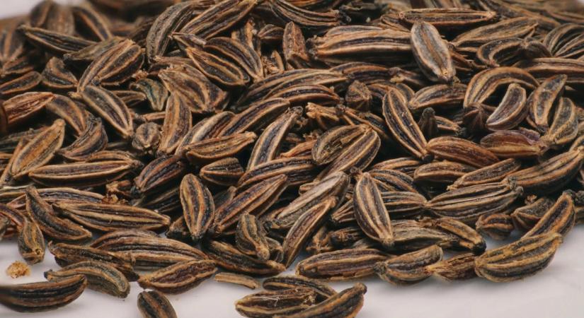 Régi gyógynövény új szerepben: ezt találták a feketeköményről a kutatók