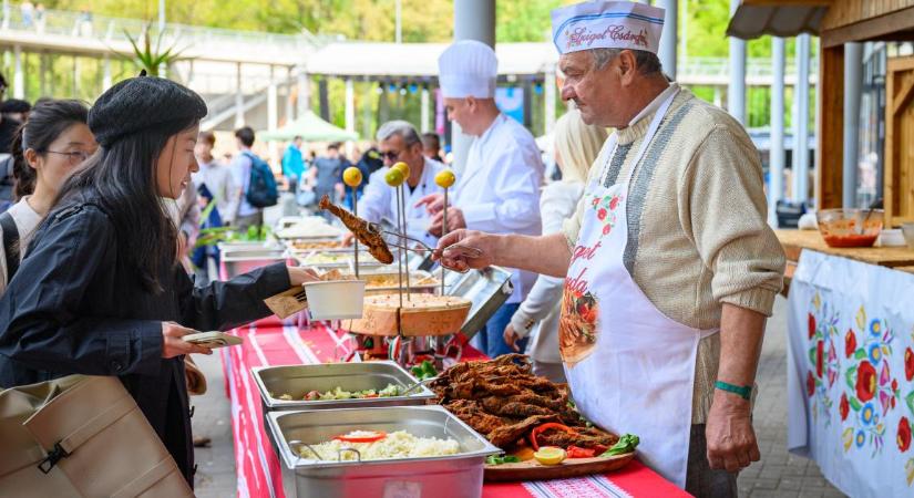 Ízek, kultúrák, találkozások: erről szólt idén is a gasztrokulturális élménynap Debrecenben – fotókkal, videóval