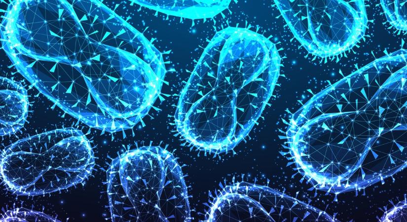 Mérföldkő közelében az emberiség – Végleg eltűnhet a malária