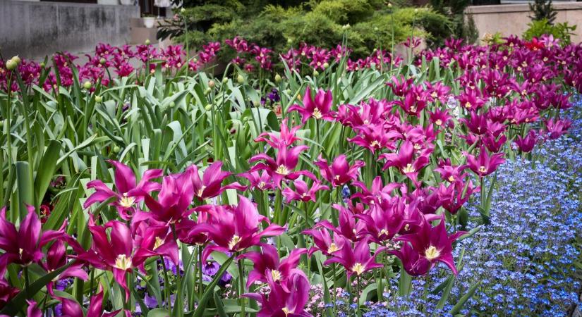 Meglepetést tartogat a szombati időjárás Szekszárdon