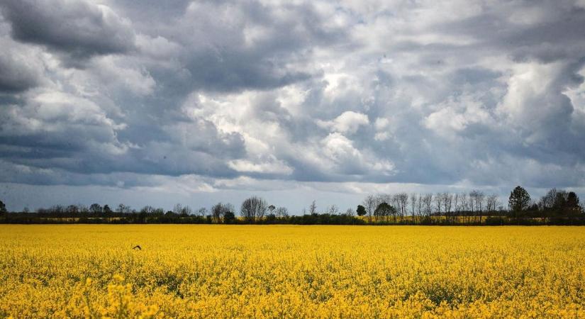 Kellemes, tavaszias időjárással indul a hétvége, de aztán jön a fordulat