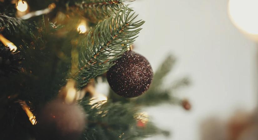 Remélik, hogy végül nem kell a népszavazás december 24-e munkaszüneti nappá nyilvánításáról