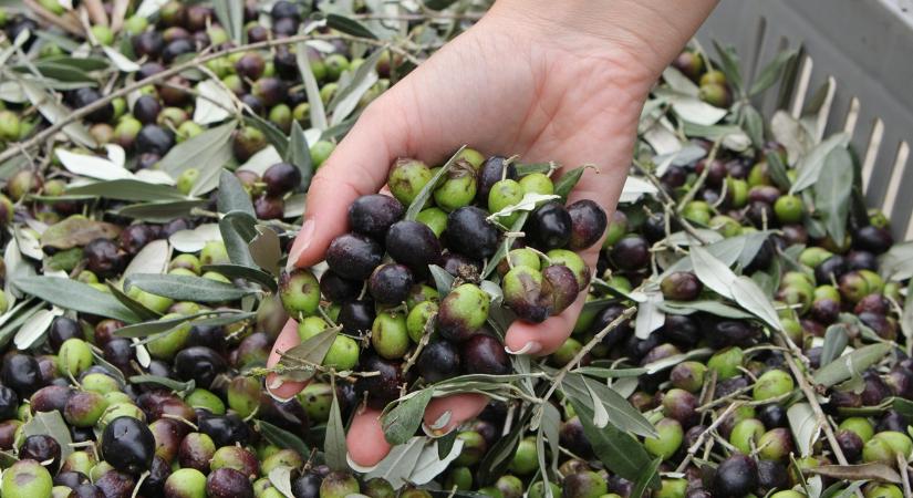 Megdöbbentő felfedezés: alábecsültük ezt az élelmiszert