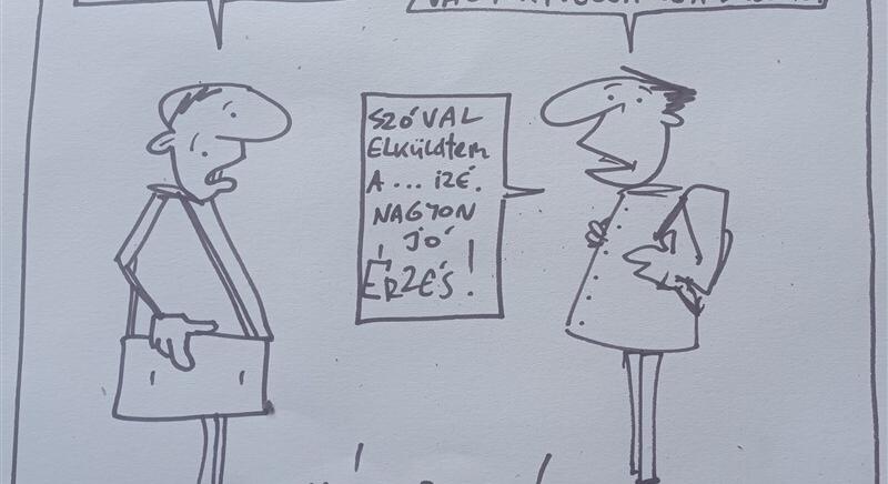 Sior: rajzok haza 81.