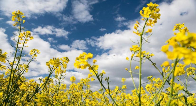 Meglepetéseket tartogat a hétvége nyitánya: mire számítsunk Borsodban?