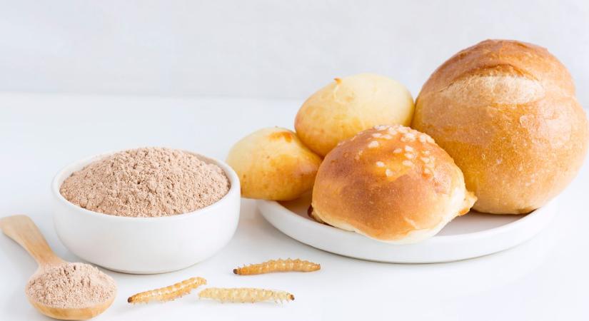 Kötelező elkülönítés jön a rovartartalmú élelmiszereknél