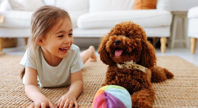 Kutya és gyerek: tippek az örök barátsághoz