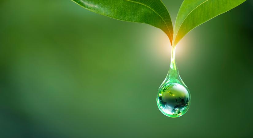 Komoly figyelmeztetést adott ki a hatóság: durván átverhetnek, ha ilyen feliratot látsz a csomagoláson