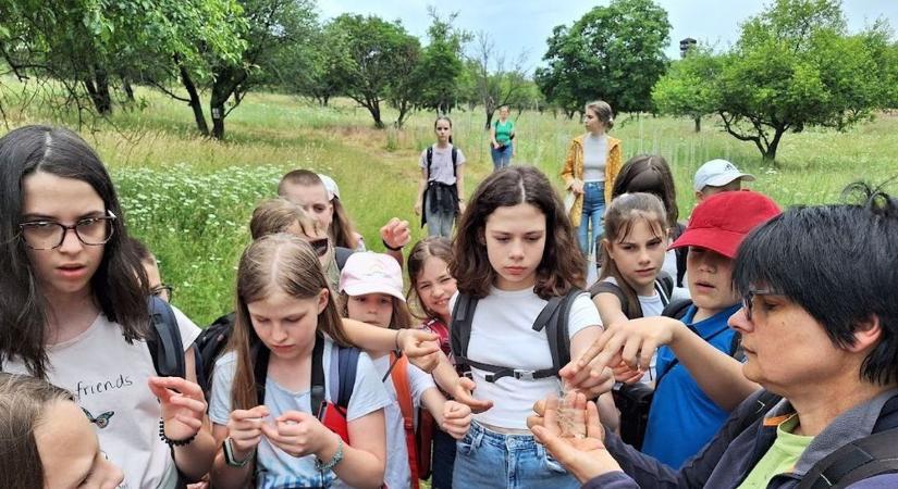 Megújult a tihanyi erdei iskola, korszerűbb körülmények várják a diákokat (galéria)
