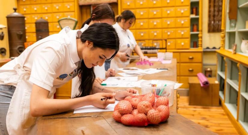 Országos siker: így teljesítettek a nyíregyházi diákok a szakmai versenyen