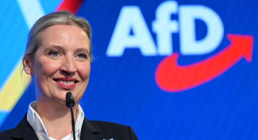 Tarol az AfD a balos-konzervatív szavazóknál
