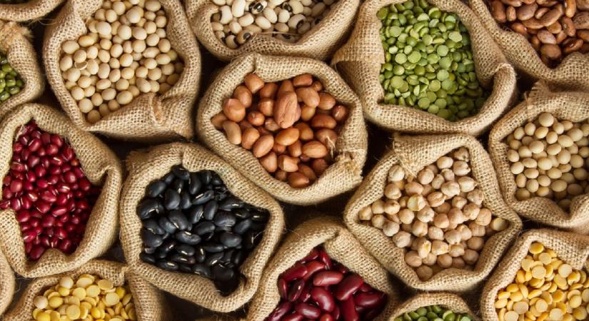 Meglepő: ezt ne tedd a kertben tavasszal - sokan elrontják