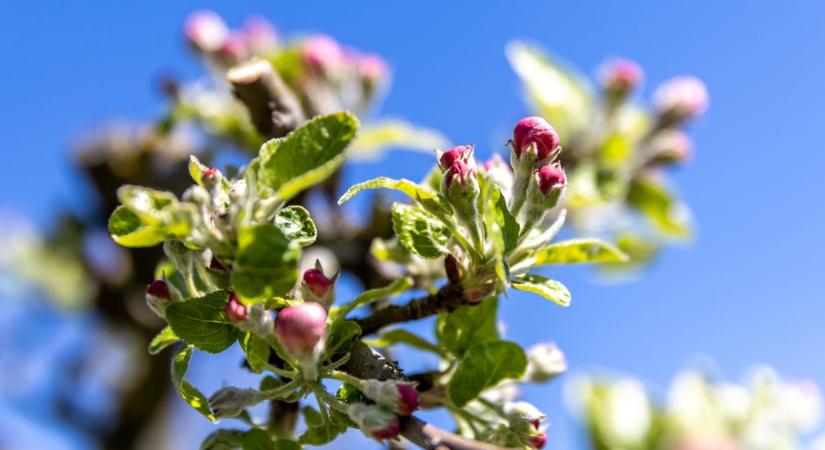 Valami készül szombaton: ilyen idő éri el Komárom-Esztergom vármegyét