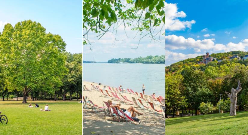 Időutazó piknik Budapesten, egy pokrócon ülve évszázadokat utazhatunk