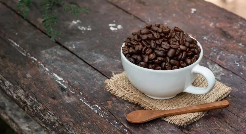 A nagy kávékvíz: sokan nekifutnak, de a legtöbben már az első kérdéseknél elvéreznek