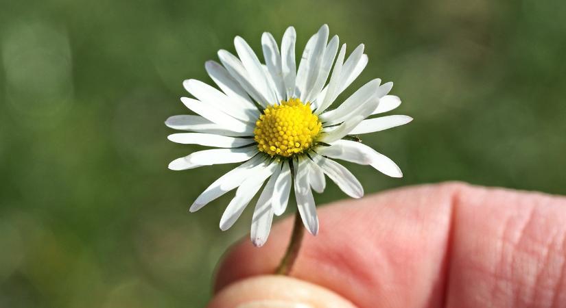 Támad a hidegfront: mutatjuk, mikor kell leállni a permetezéssel