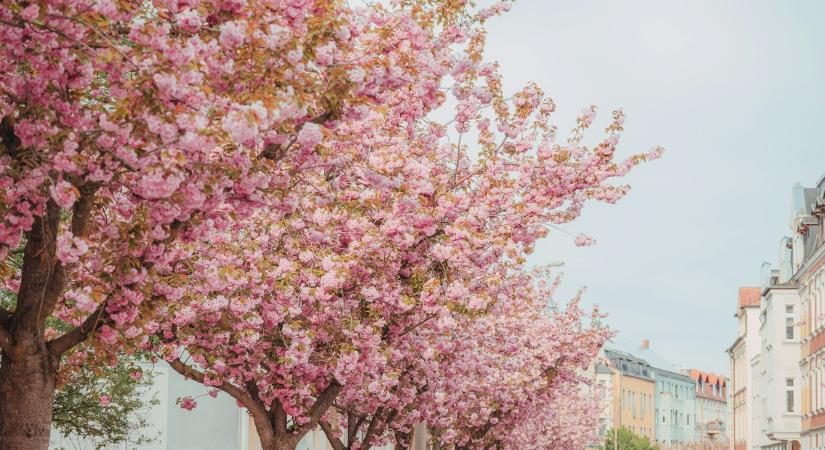 Időjárás 2026. április 25.: Tovább melegszik az idő