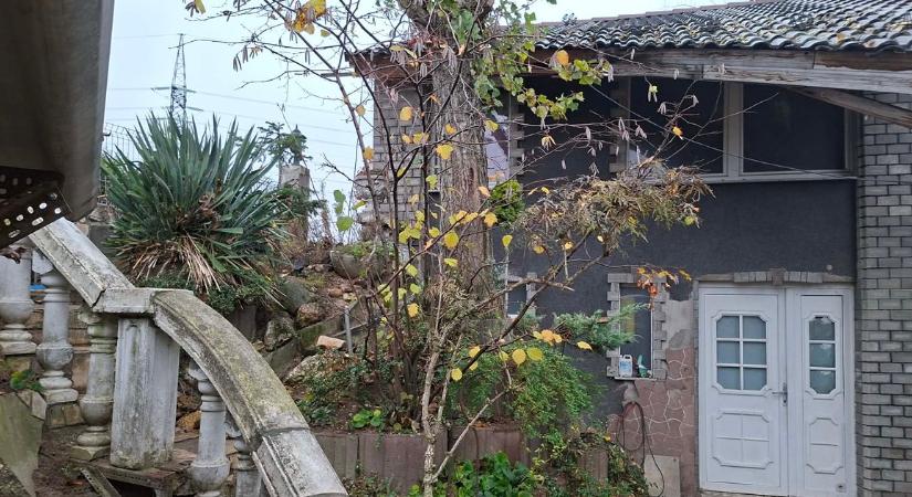 Kilakoltatták házukból a párt, beköltöztek a garázsukba - Andrásék évekig elvoltak ott, de most minden megváltozott