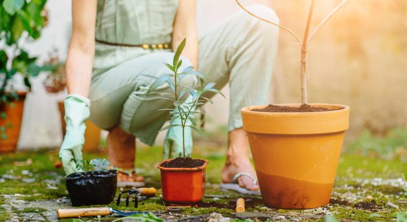 Elfagyott a leandered? Ne mondj le róla azonnal!