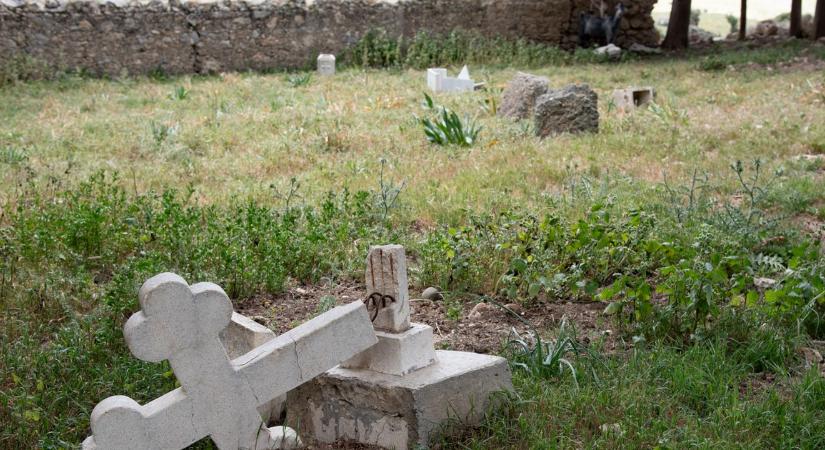 Itt a rendőrség sokkoló bejelentése: tömegsírt találtak, 50 csecsemő is volt benne (Videó)